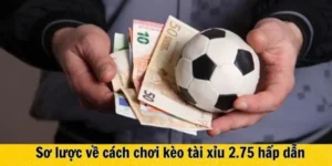 Cách Đọc Kèo 2.75 Và Kinh Nghiệm Đánh Tài Xỉu Thành Công