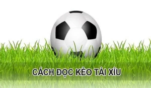Bí Quyết Cách Chơi Kèo Tài Xỉu Bóng Đá Luôn Thắng Lớn
