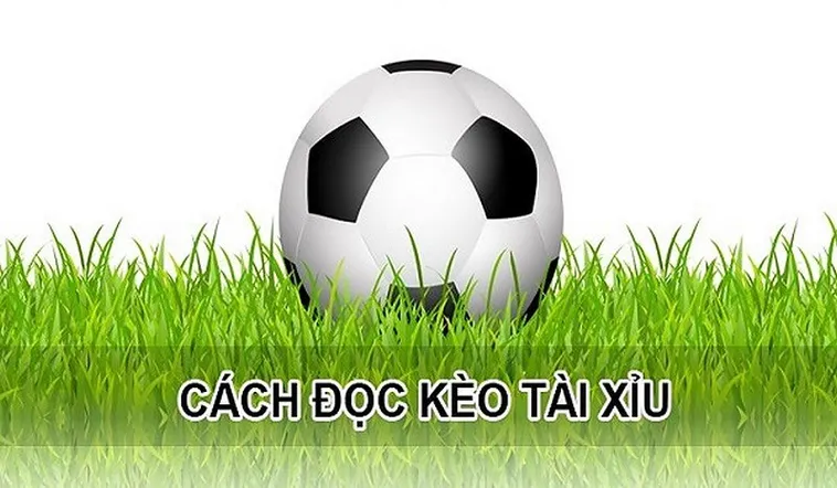Bí Quyết Cách Chơi Kèo Tài Xỉu Bóng Đá Luôn Thắng Lớn