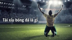 Hướng Dẫn Chi Tiết Cách Chơi Kèo Tài Xỉu Bóng Đá Thắng Lớn
