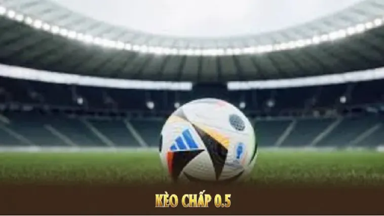 Cách Chơi Kèo Chấp 0.5 Trong Bóng Đá Mang Lại Hiệu Quả Cao Nhất