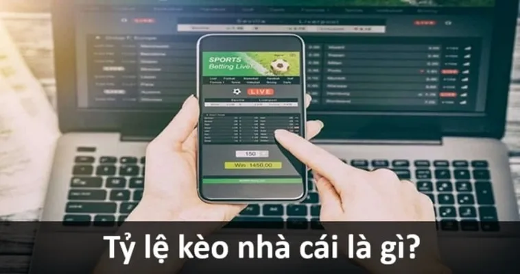 Tổng Hợp Kiến Thức Về Các Loại Kèo Bóng Đá Phổ Biến Nhất